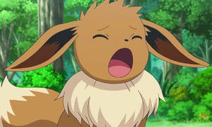 Eevee Bawling (Without Tears)