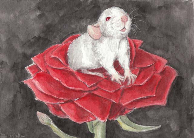 The Rose Rat by theillustratedrat on DeviantArt