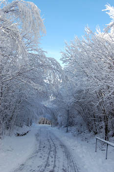 Winter in Norway