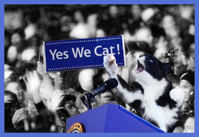 Yes we cat By Purstotahti And naururefleksi