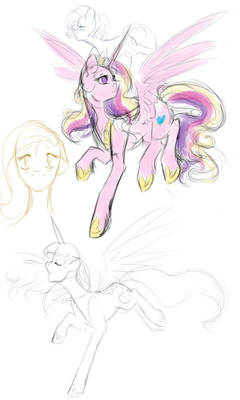 Pony sketches