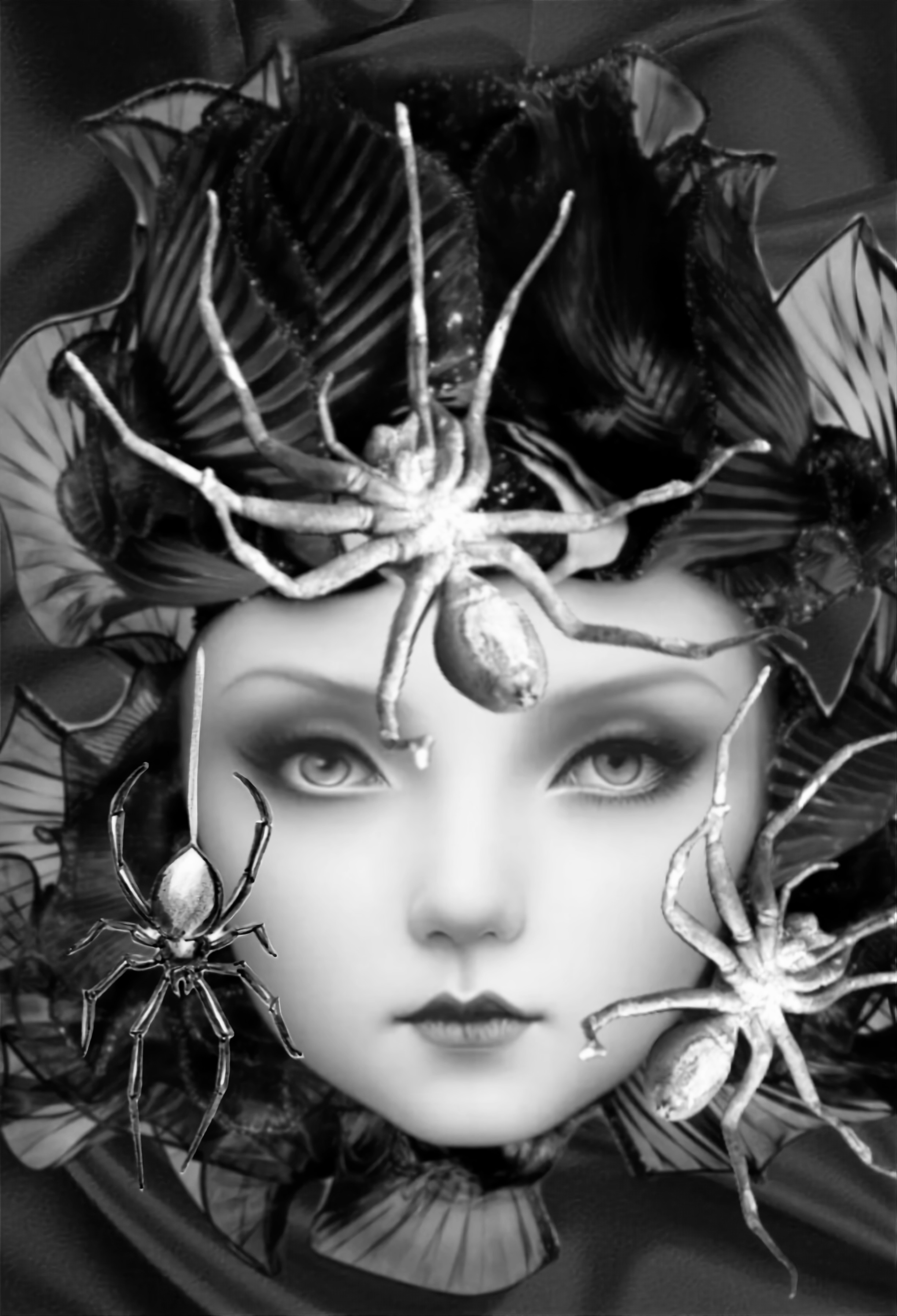 Deviantart Spider Three Spiders by jamesjkuroski on DeviantArt