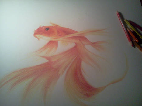 Goldfish~ 