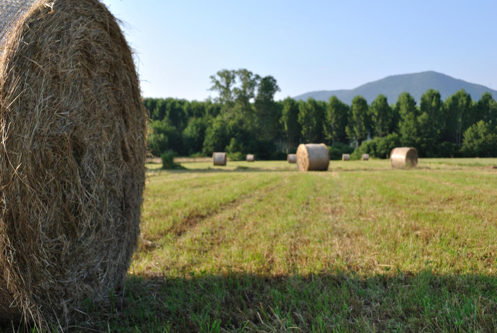 haystack 2 by gengenrulez on DeviantArt