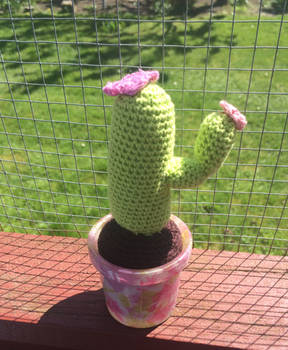 cactus :D