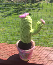 cactus :D by CraftingViking