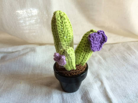 Crocheted cactus :)