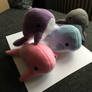Cute whales