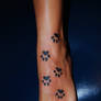 Paw prints