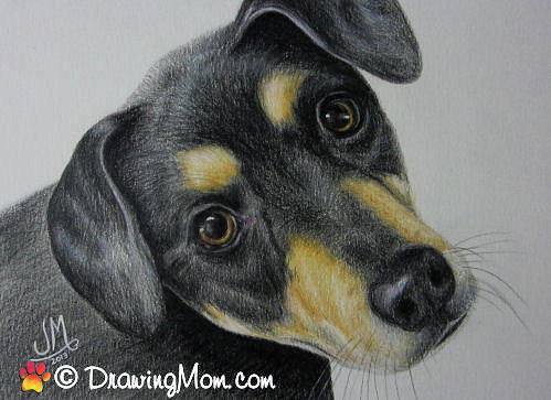 Drawing of Zoey by DrawingMom