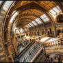 Natural History Museum