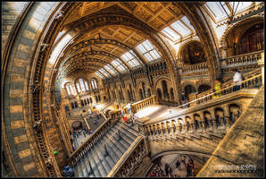 Natural History Museum