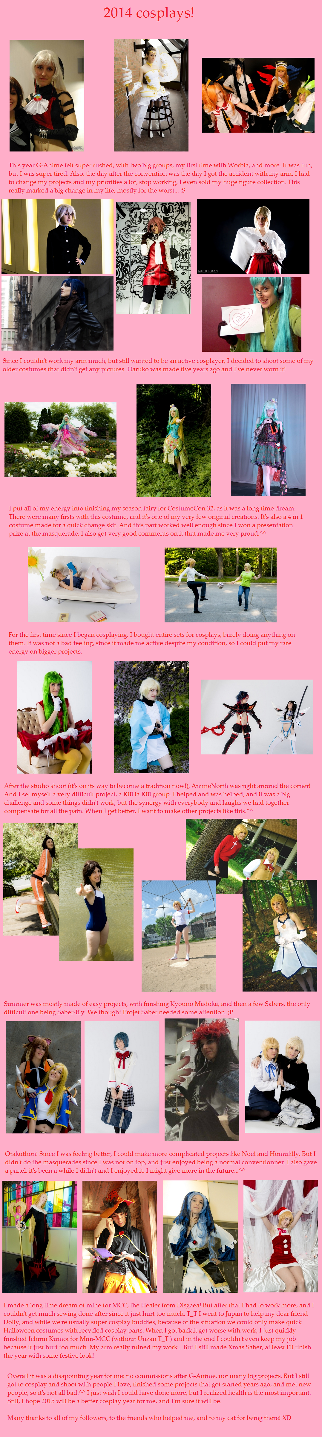 My 2014 cosplays!