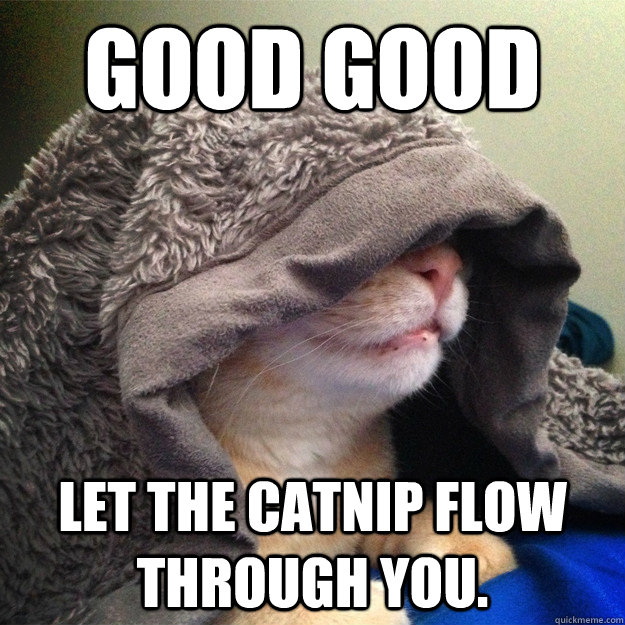 cat emperor