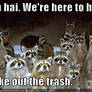 raccoons want's to help to take out your trash.