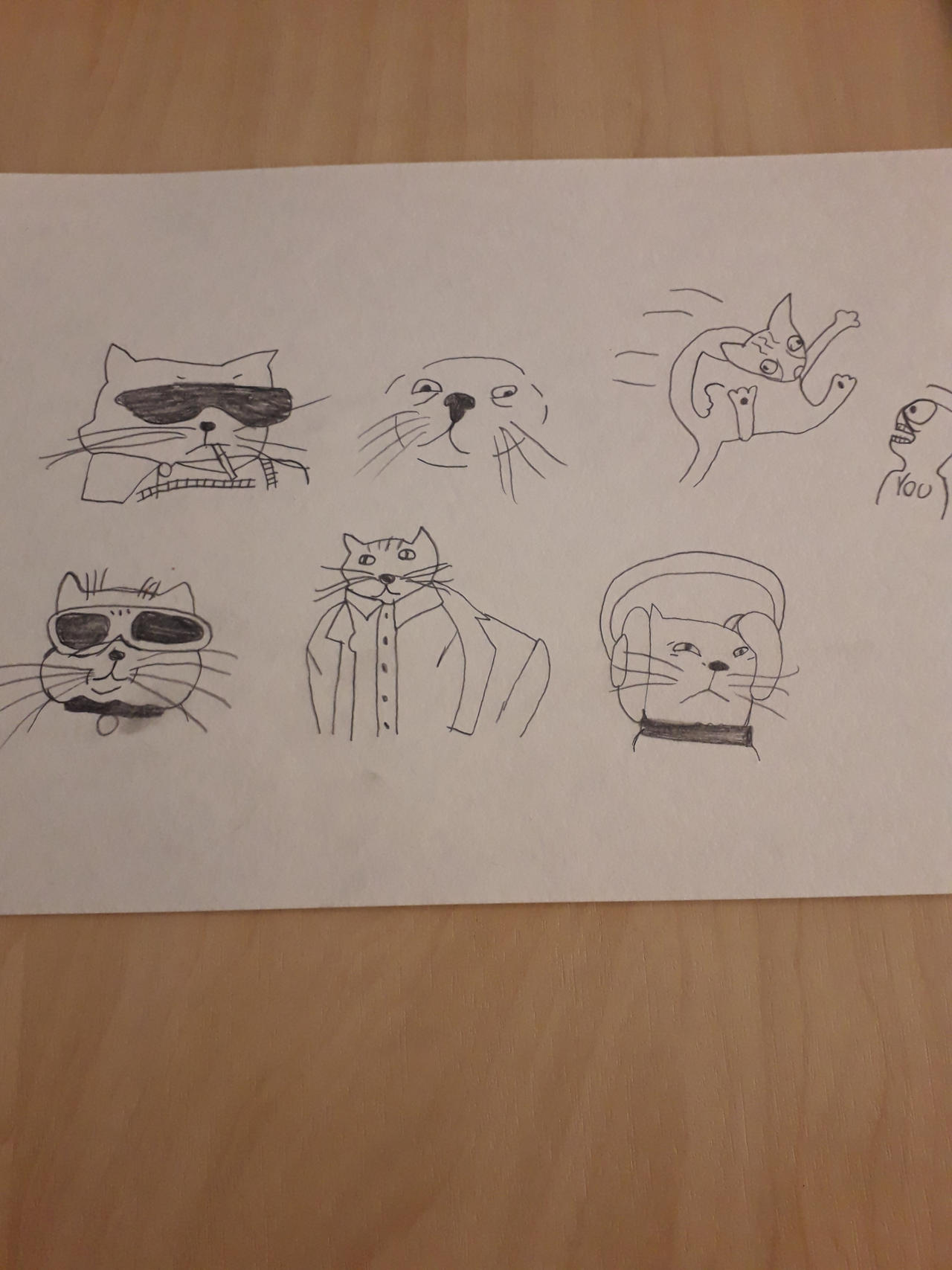silly cats drawn i did