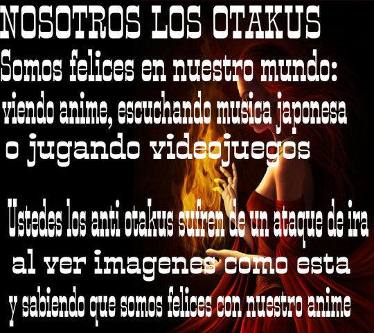 Nosotros los otakus