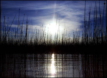 mirror of the lake