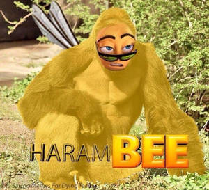 HaramBEE