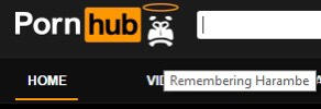 I went to porn hub and saw this