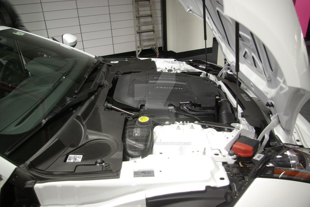 2015 Jaguar F Type Engine Bay by NightShadeWolfy on DeviantArt
