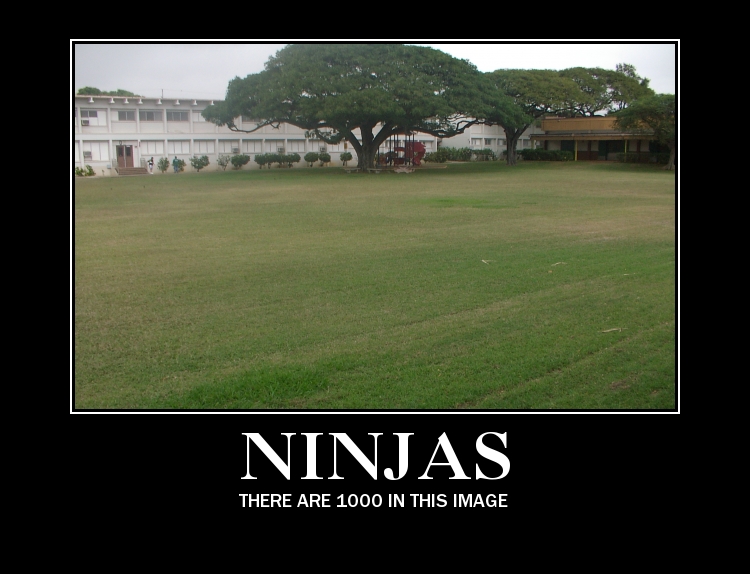 Field of Ninjas