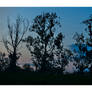 Ombres