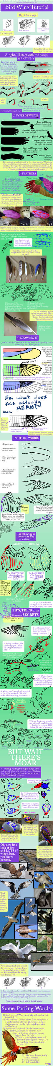 Bird Wing Tutorial by TheAntimonyElement