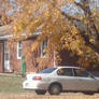 White Car Under Autumn