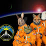 THE LYLAT SPACE PROGRAM - Starfox Deviantart print