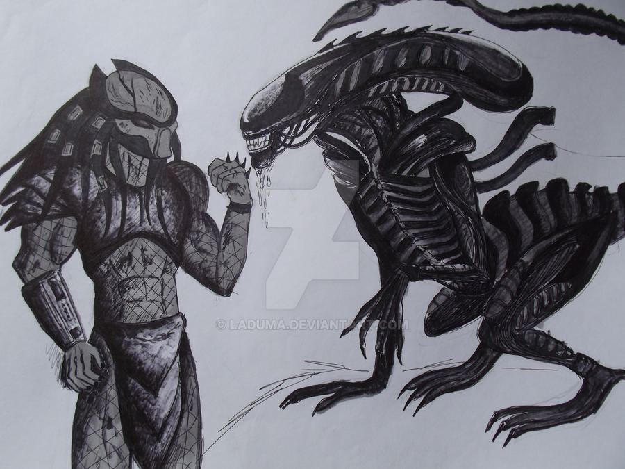 Avp Evolution Deviantart AVP by Laduma on DeviantArt