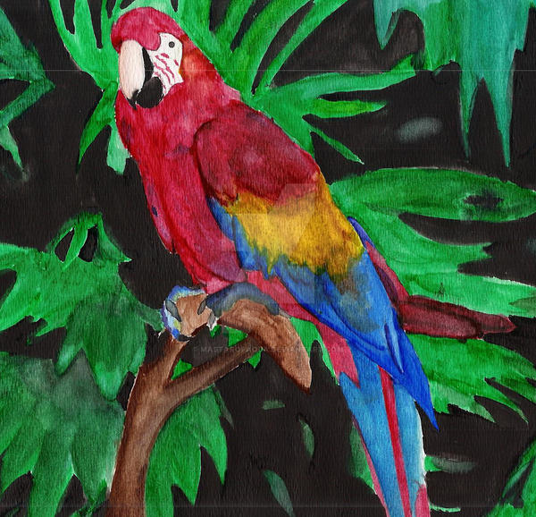 Water Color parot by mastarofaqua on DeviantArt