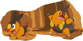 Tepig and Pignite