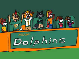 At the Miami Dolphins game 