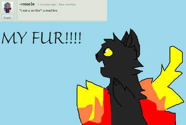 Ask Ravenpaw 18