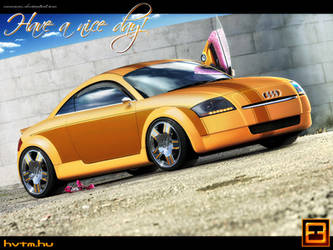 Audi TT baby