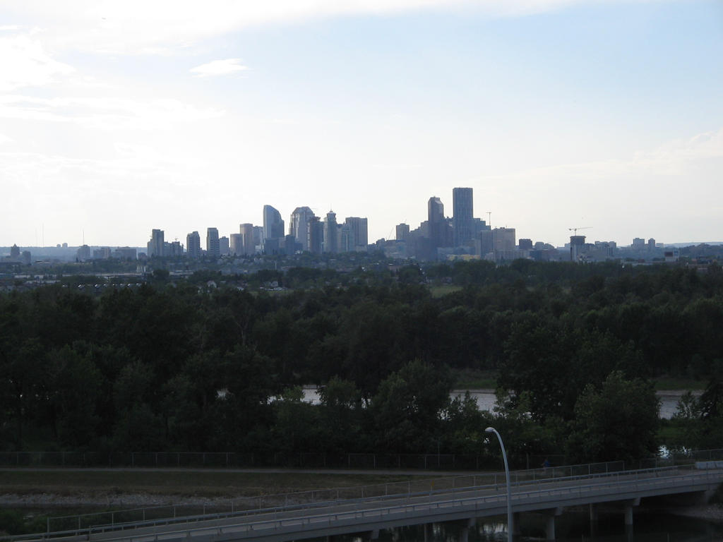 Calgary City skyline from dog walking trail