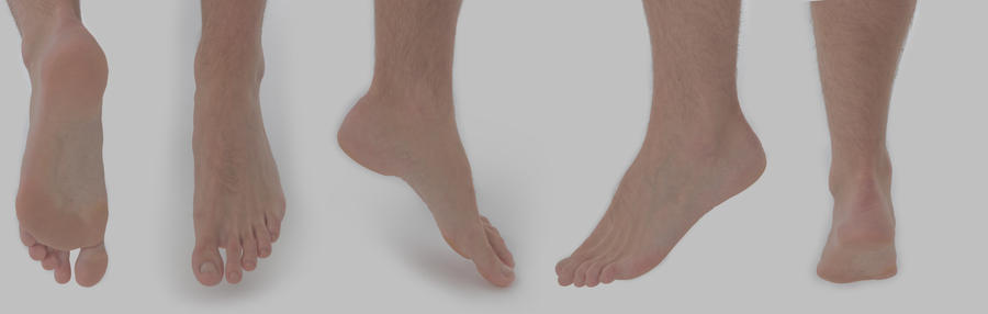 foot reference by DIGITALWIDERESOURCE on DeviantArt