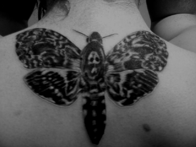 Death's head moth Tattoo by fluid1000 on DeviantArt