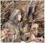 Tuor escapes the Easterlings by peet