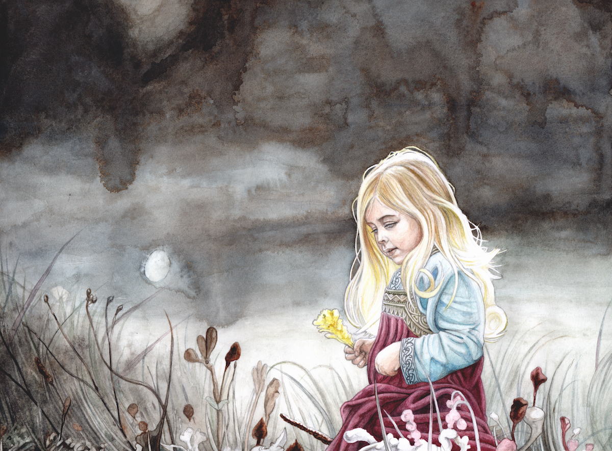 A Flower in the Grey North by peet