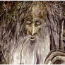 Treebeard/Fangorn