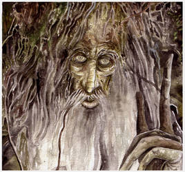 Treebeard/Fangorn