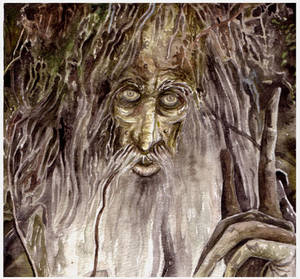 Treebeard/Fangorn