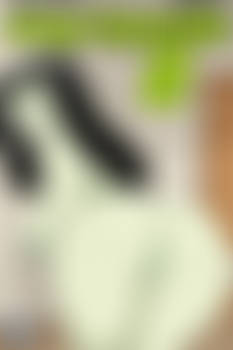 Shego Impossible II Cover