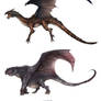Dragon Lineup
