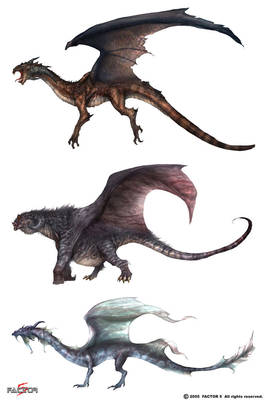 Dragon Lineup