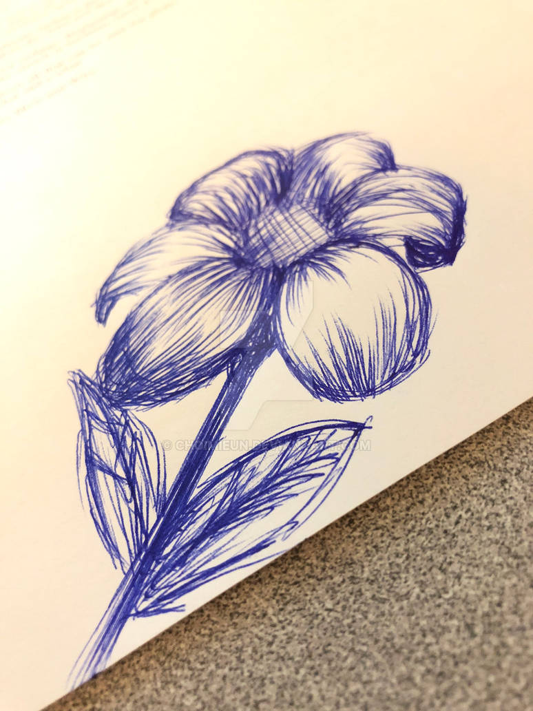 Flower pen Sketch By ChoiMiEun On DeviantArt flower-pen-sketch-by-choimieun-on-deviantart