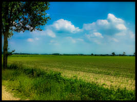 FLAT AND ENDLESS VIEW