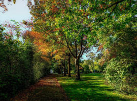 A BEAUTIFUL AUTUMN WALKING